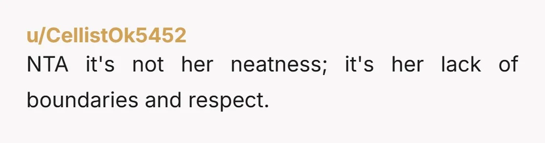 NTA it's not her neatness; it's her lack of boundaries and respect.