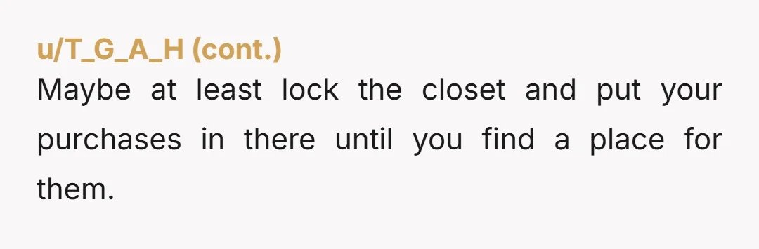 Maybe at least lock the closet and put your purchases in there until you find a place for them.