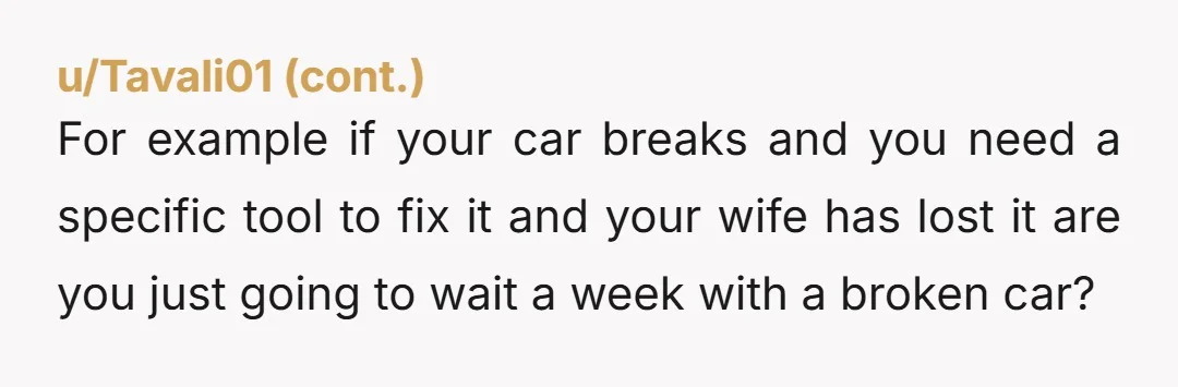 For example if your car breaks and you need a specific tool to fix it and your wife has lost it are you just going to wait a week with...