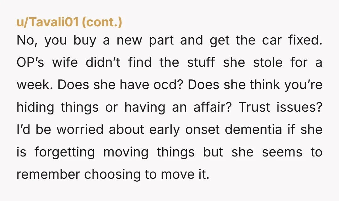 No, you buy a new part and get the car fixed. OP’s wife didn’t find the stuff she stole for a week. Does she have ocd? Does she think you’re...