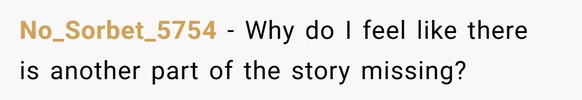 No_Sorbet_5754 − Why do I feel like there is another part of the story missing?