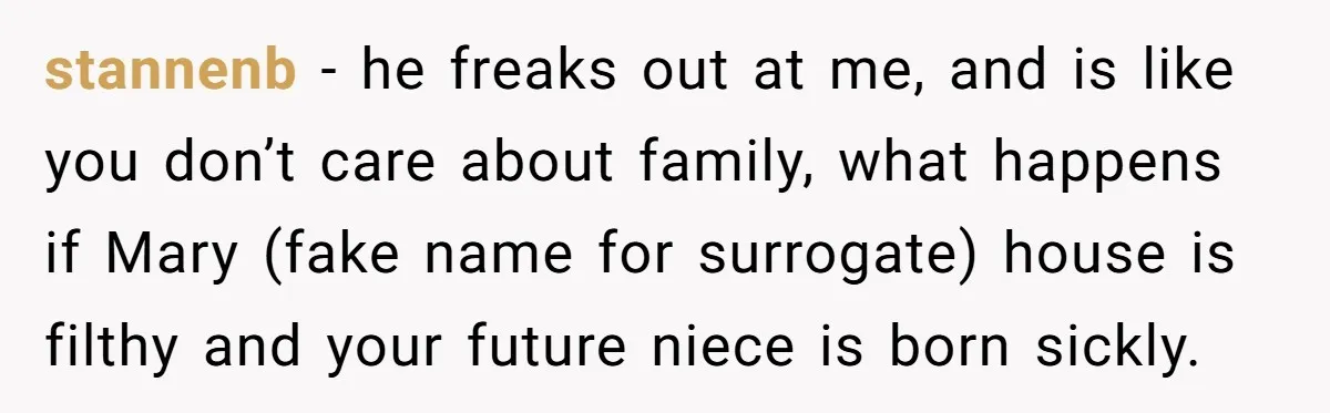 stannenb − he freaks out at me, and is like you don’t care about family, what happens if Mary (fake name for surrogate) house is filthy and your future niece...