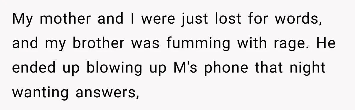 My mother and I were just lost for words, and my brother was fumming with rage. He ended up blowing up M's phone that night wanting answers,