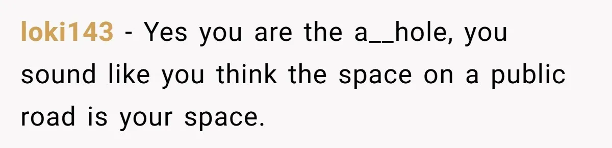 loki143 − Yes you are the a__hole, you sound like you think the space on a public road is your space.