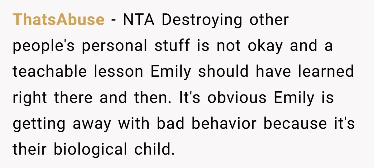 ThatsAbuse − NTA Destroying other people's personal stuff is not okay and a teachable lesson Emily should have learned right there and then. It's obvious Emily is getting away with...