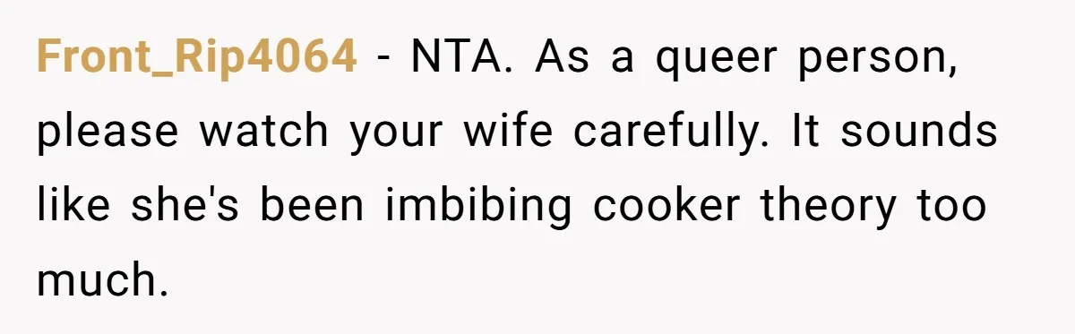 Front_Rip4064 − NTA. As a queer person, please watch your wife carefully. It sounds like she's been imbibing cooker theory too much.