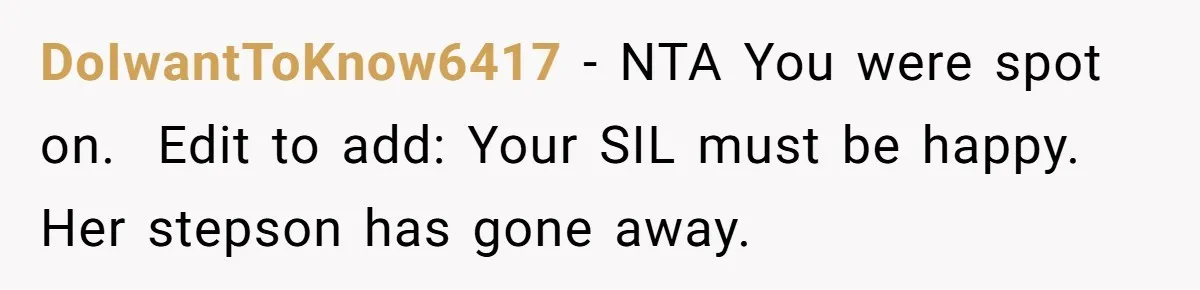 DoIwantToKnow6417 − NTA You were spot on. ​ Edit to add: Your SIL must be happy. Her stepson has gone away.