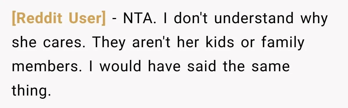 [Reddit User] − NTA. I don't understand why she cares. They aren't her kids or family members. I would have said the same thing.
