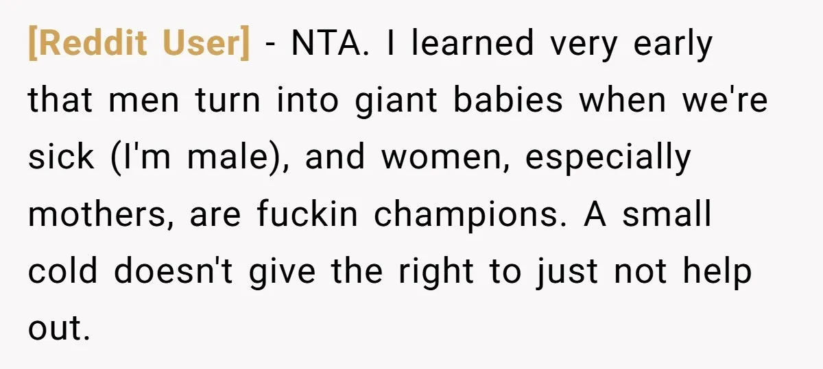 [Reddit User] − NTA. I learned very early that men turn into giant babies when we're sick (I'm male), and women, especially mothers, are fuckin champions. A small cold doesn't...