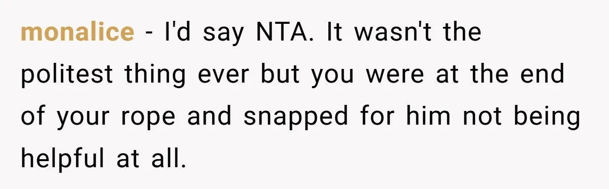 monalice − I'd say NTA. It wasn't the politest thing ever but you were at the end of your rope and snapped for him not being helpful at all.