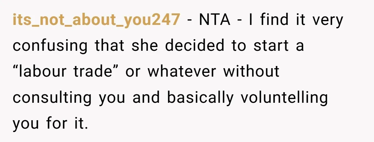its_not_about_you247 − NTA - I find it very confusing that she decided to start a “labour trade” or whatever without consulting you and basically voluntelling you for it.