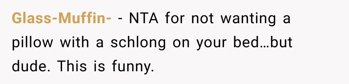 Glass-Muffin- − NTA for not wanting a pillow with a schlong on your bed…but dude. This is funny.