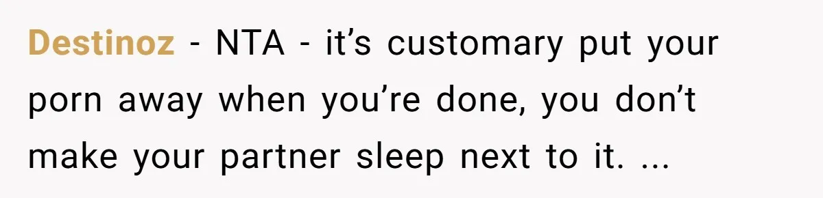 Destinoz − NTA - it’s customary put your porn away when you’re done, you don’t make your partner sleep next to it. ...