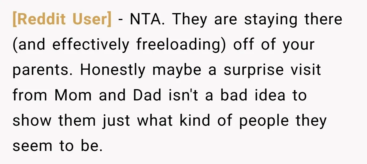 [Reddit User] − NTA. They are staying there (and effectively freeloading) off of your parents. Honestly maybe a surprise visit from Mom and Dad isn't a bad idea to show...