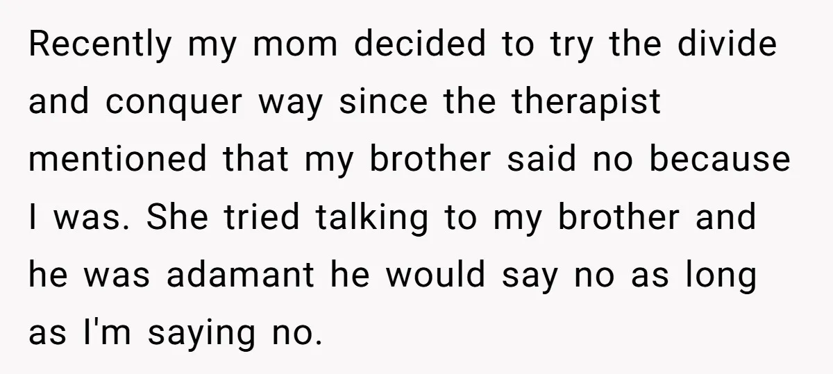 Recently my mom decided to try the divide and conquer way since the therapist mentioned that my brother said no because I was. She tried talking to my brother and...