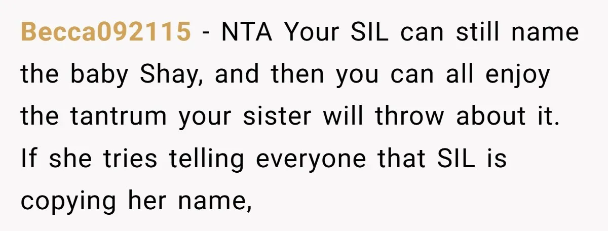 Becca092115 − NTA Your SIL can still name the baby Shay, and then you can all enjoy the tantrum your sister will throw about it. If she tries telling everyone...