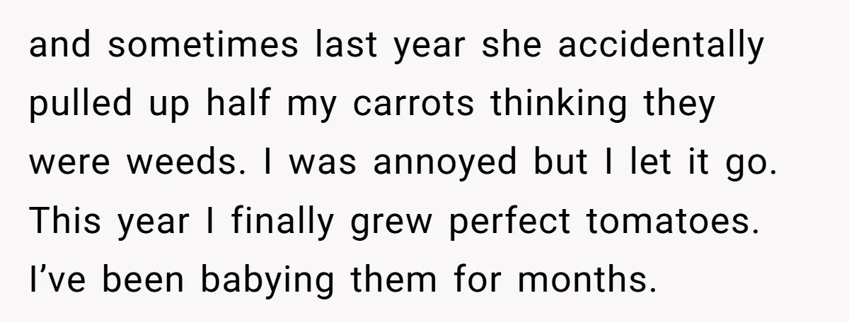 and sometimes last year she accidentally pulled up half my carrots thinking they were weeds. I was annoyed but I let it go. This year I finally grew perfect tomatoes....