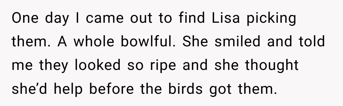 One day I came out to find Lisa picking them. A whole bowlful. She smiled and told me they looked so ripe and she thought she’d help before the birds...