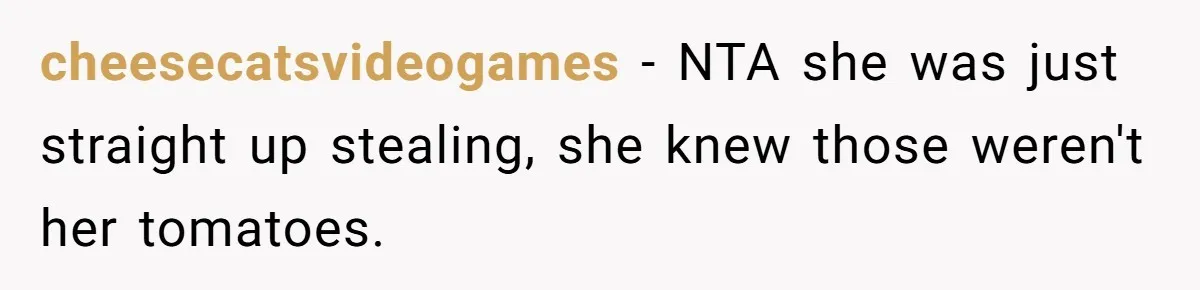 cheesecatsvideogames − NTA she was just straight up stealing, she knew those weren't her tomatoes.