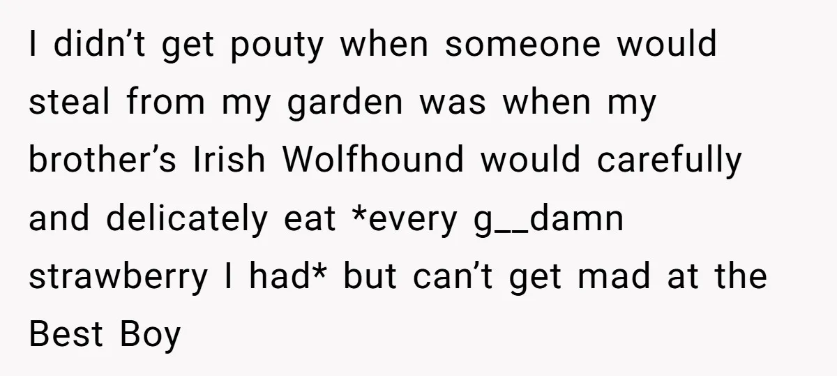 I didn’t get pouty when someone would steal from my garden was when my brother’s Irish Wolfhound would carefully and delicately eat *every g__damn strawberry I had* but can’t get...
