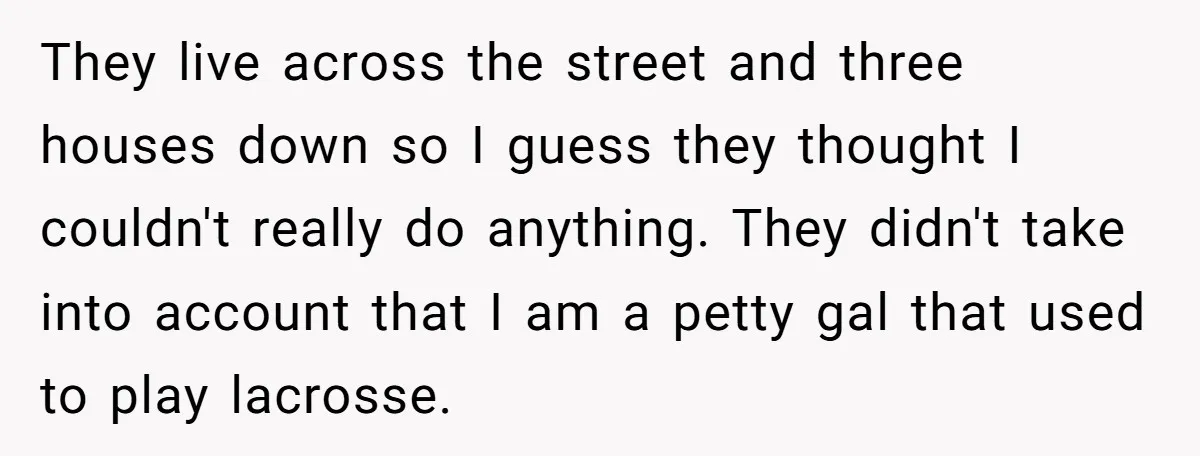 They live across the street and three houses down so I guess they thought I couldn't really do anything. They didn't take into account that I am a petty gal...