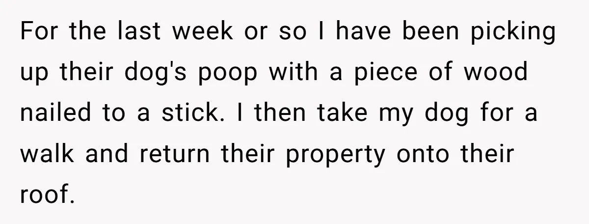 For the last week or so I have been picking up their dog's poop with a piece of wood nailed to a stick. I then take my dog for a...