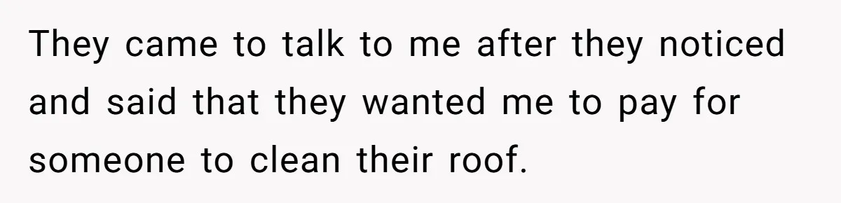 They came to talk to me after they noticed and said that they wanted me to pay for someone to clean their roof.