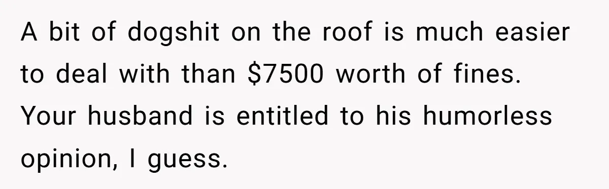 A bit of dogshit on the roof is much easier to deal with than $7500 worth of fines. Your husband is entitled to his humorless opinion, I guess.