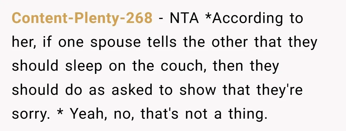 Content-Plenty-268 − NTA *According to her, if one spouse tells the other that they should sleep on the couch, then they should do as asked to show that they're sorry....
