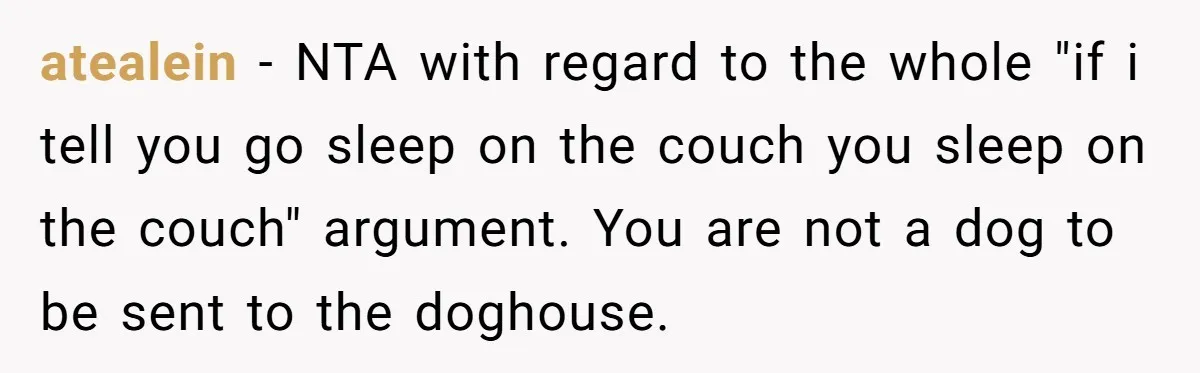 atealein − NTA with regard to the whole "if i tell you go sleep on the couch you sleep on the couch" argument. You are not a dog to be...