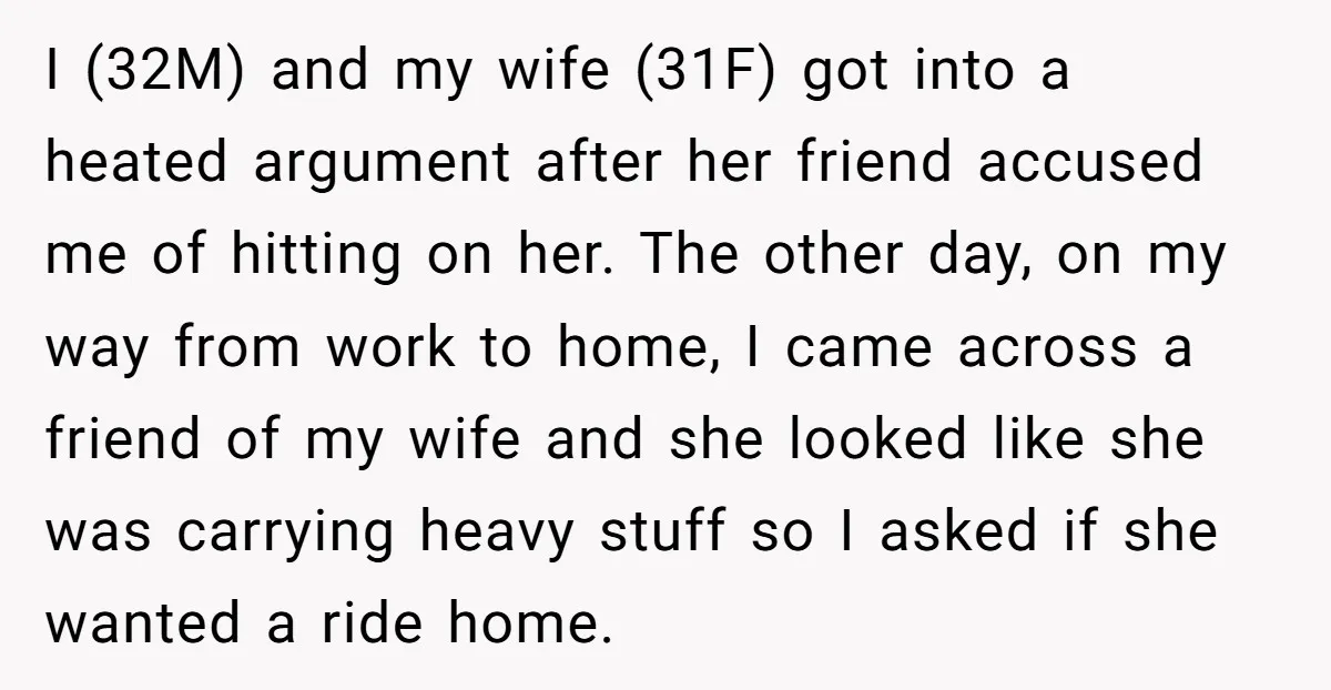I (32M) and my wife (31F) got into a heated argument after her friend accused me of hitting on her. The other day, on my way from work to home,...