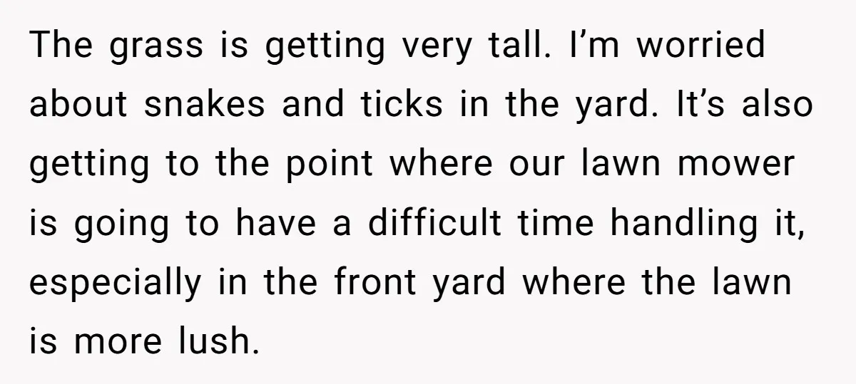 The grass is getting very tall. I’m worried about snakes and ticks in the yard. It’s also getting to the point where our lawn mower is going to have a...