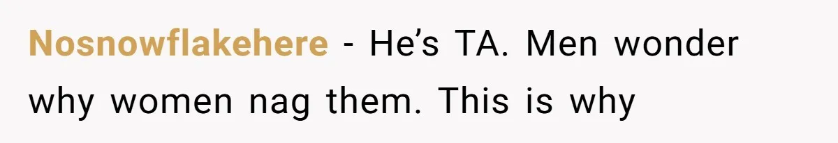 Nosnowflakehere − He’s TA. Men wonder why women nag them. This is why