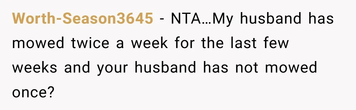 Worth-Season3645 − NTA…My husband has mowed twice a week for the last few weeks and your husband has not mowed once?