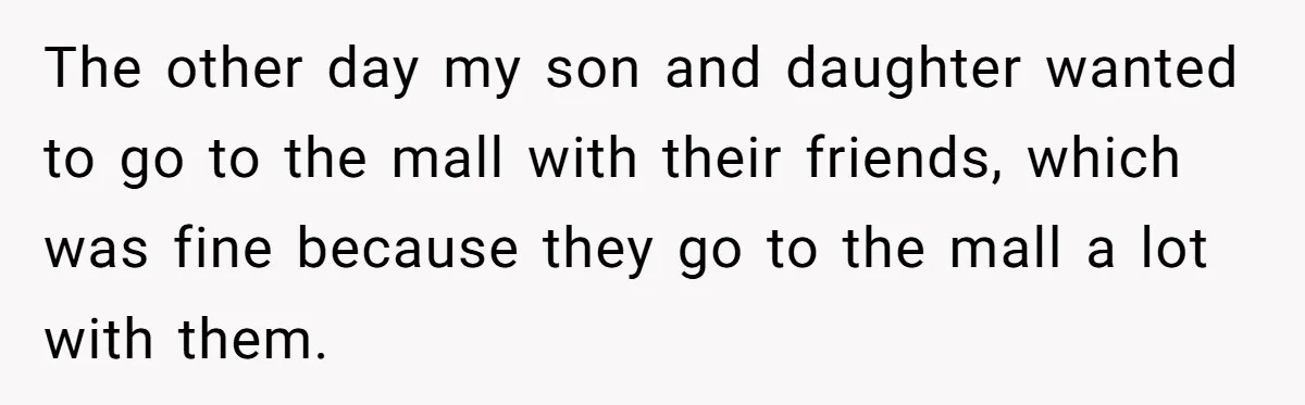 The other day my son and daughter wanted to go to the mall with their friends, which was fine because they go to the mall a lot with them.