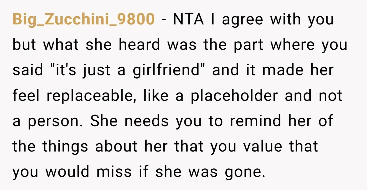 Big_Zucchini_9800 − NTA I agree with you but what she heard was the part where you said "it's just a girlfriend" and it made her feel replaceable, like a placeholder...