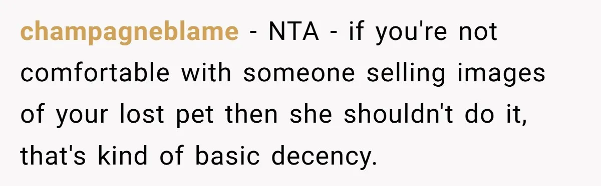 champagneblame − NTA - if you're not comfortable with someone selling images of your lost pet then she shouldn't do it, that's kind of basic decency.