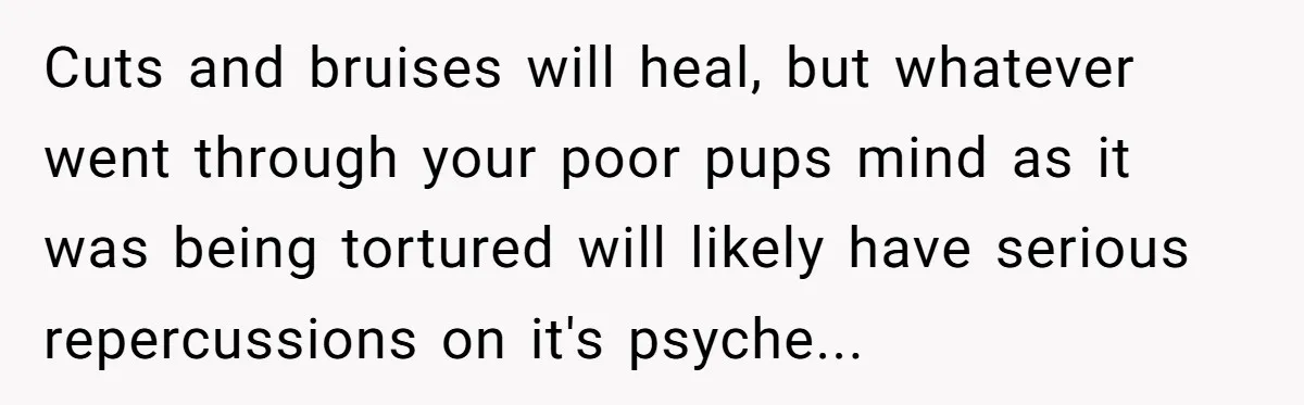 Cuts and bruises will heal, but whatever went through your poor pups mind as it was being tortured will likely have serious repercussions on it's psyche...