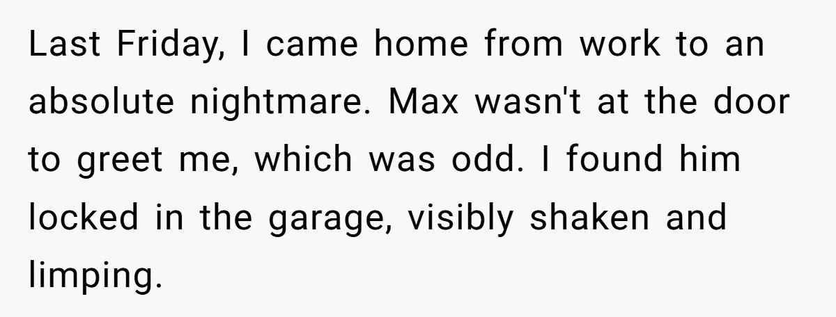 Last Friday, I came home from work to an absolute nightmare. Max wasn't at the door to greet me, which was odd. I found him locked in the garage, visibly...