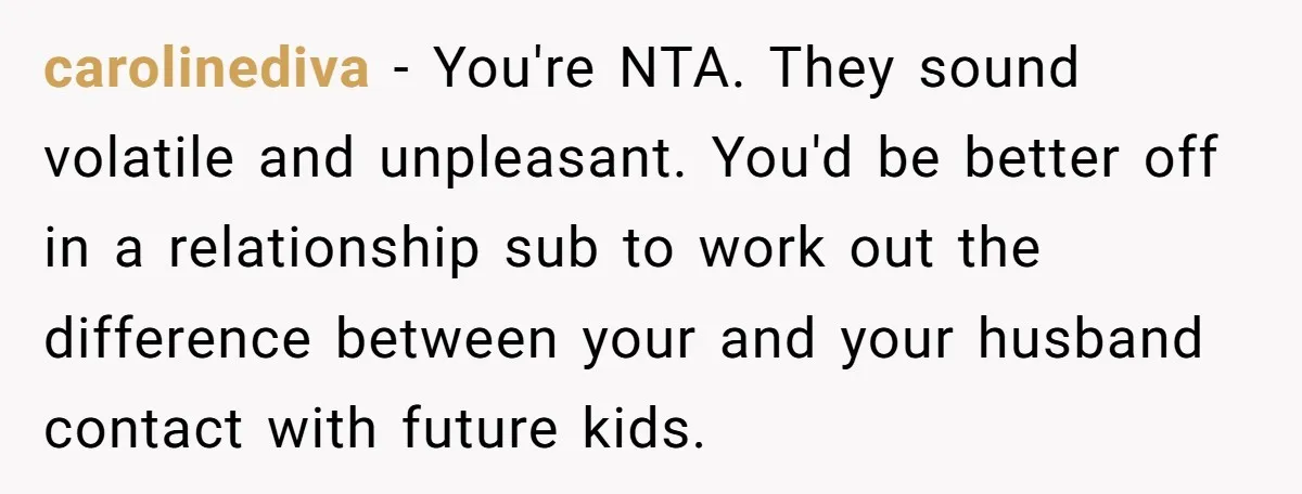 carolinediva − You're NTA. They sound volatile and unpleasant. You'd be better off in a relationship sub to work out the difference between your and your husband contact with future...