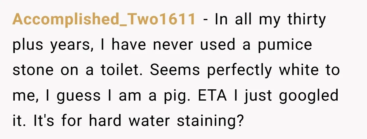 Accomplished_Two1611 − In all my thirty plus years, I have never used a pumice stone on a toilet. Seems perfectly white to me, I guess I am a pig. ETA...