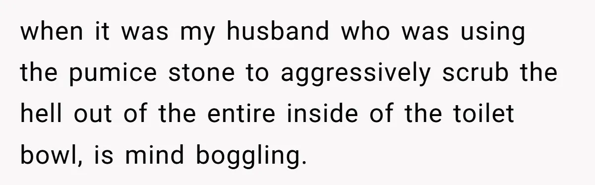 when it was my husband who was using the pumice stone to aggressively scrub the hell out of the entire inside of the toilet bowl, is mind boggling.