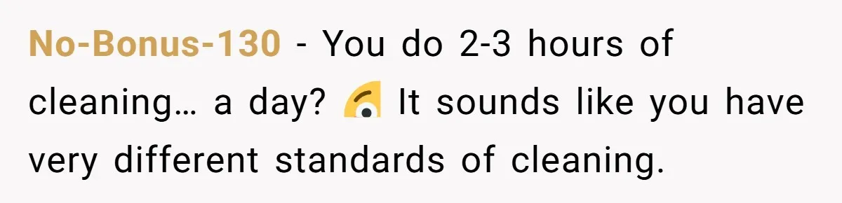 No-Bonus-130 − You do 2-3 hours of cleaning… a day? 😳 It sounds like you have very different standards of cleaning.