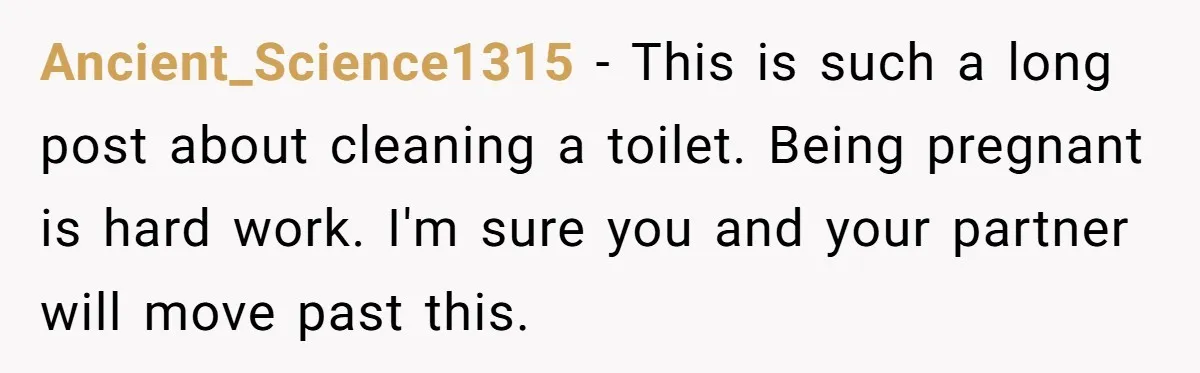 Ancient_Science1315 − This is such a long post about cleaning a toilet. Being pregnant is hard work. I'm sure you and your partner will move past this.