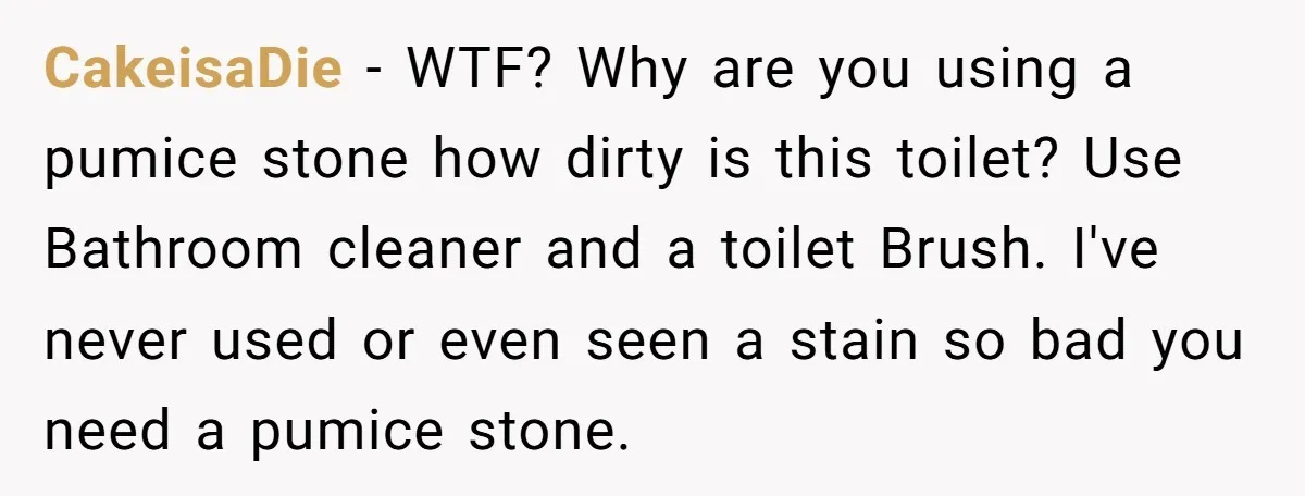 CakeisaDie − WTF? Why are you using a pumice stone how dirty is this toilet? Use Bathroom cleaner and a toilet Brush. I've never used or even seen a stain...