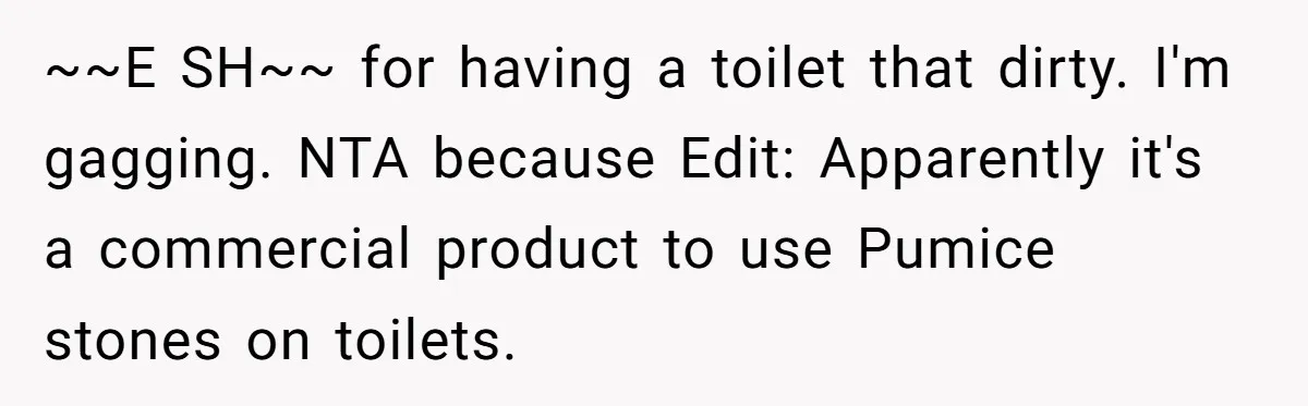 ~~E SH~~ for having a toilet that dirty. I'm gagging. NTA because Edit: Apparently it's a commercial product to use Pumice stones on toilets.