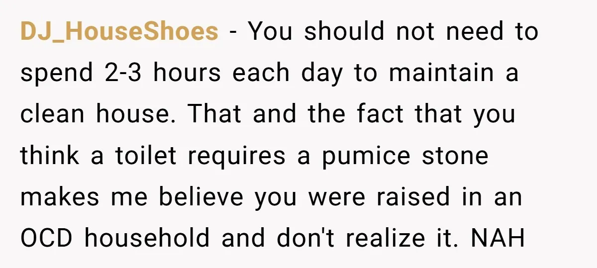 DJ_HouseShoes − You should not need to spend 2-3 hours each day to maintain a clean house. That and the fact that you think a toilet requires a pumice stone...