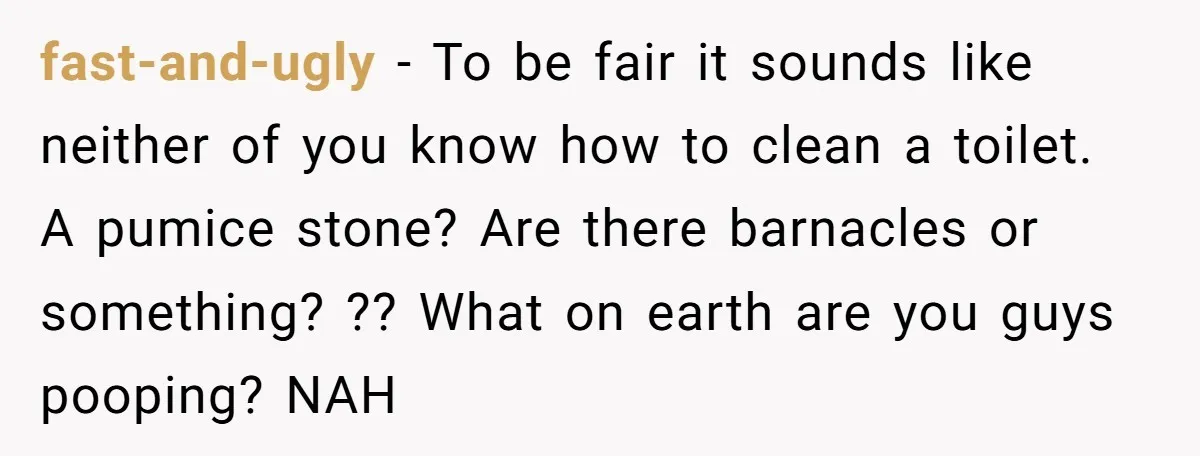 fast-and-ugly − To be fair it sounds like neither of you know how to clean a toilet. A pumice stone? Are there barnacles or something? ?? What on earth are...