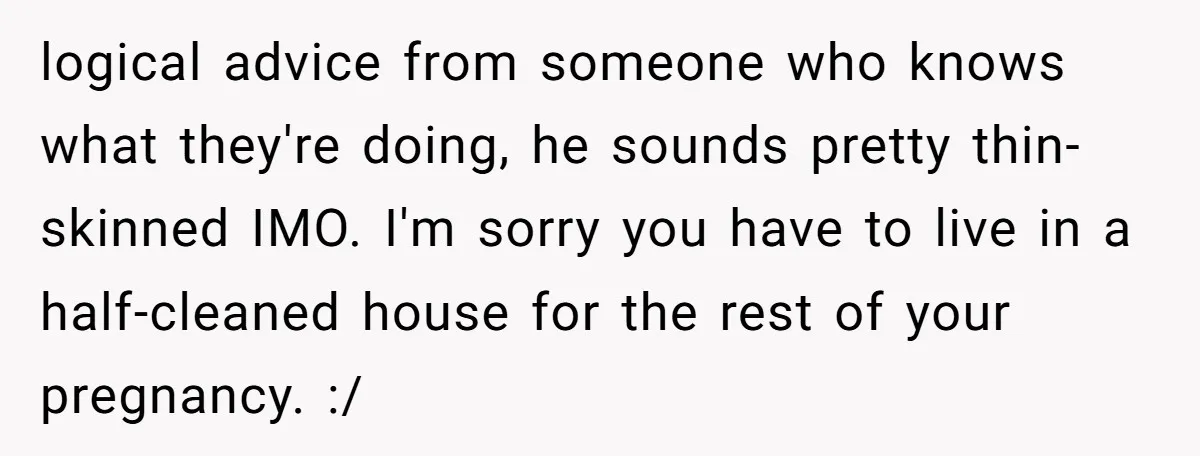 logical advice from someone who knows what they're doing, he sounds pretty thin-skinned IMO. I'm sorry you have to live in a half-cleaned house for the rest of your pregnancy....
