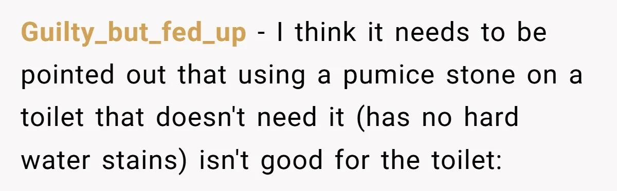 Guilty_but_fed_up − I think it needs to be pointed out that using a pumice stone on a toilet that doesn't need it (has no hard water stains) isn't good for...